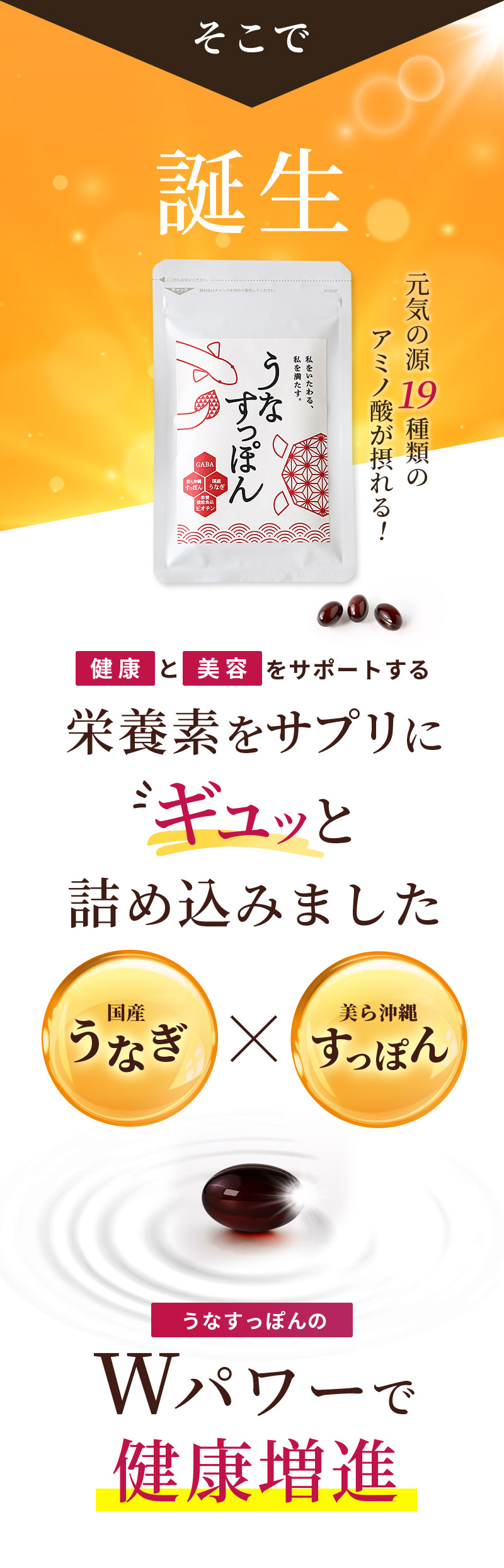 そこで誕生！元気の源19種類のアミノ酸が摂れる！健康と美容ををサポートする栄養素をサプリにギュッと詰め込みました！うなすっぽんのWパワーで健康増進！