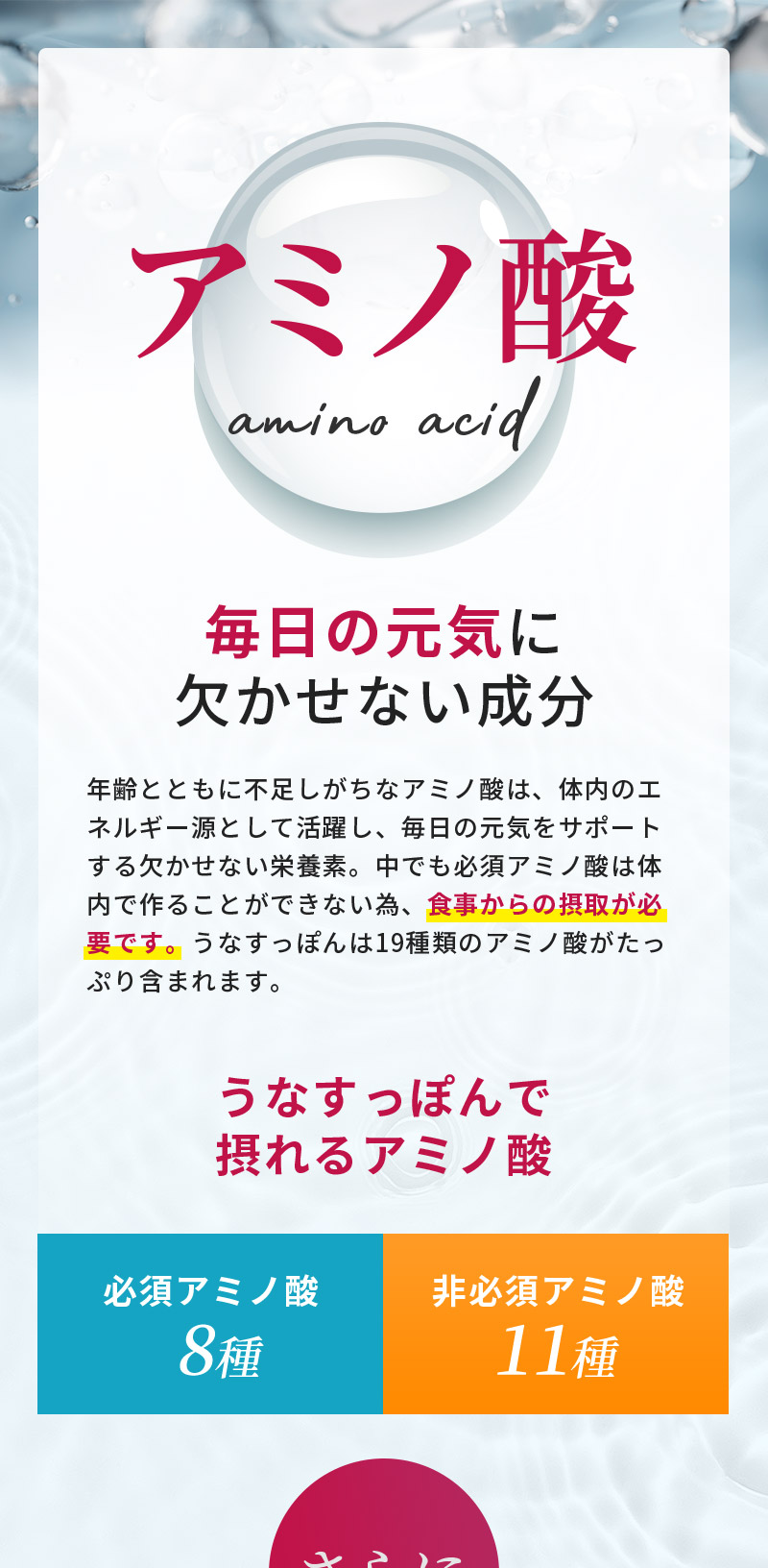 アミノ酸：年齢とともに不足しがちなアミノ酸は、体内のエネルギー源として活躍し、毎日の元気をサポートする欠かせない栄養素。中でも必須アミノ酸は体内で作ることができない為、食事からの摂取が必要です。うなすっぽんは19種類のアミノ酸がたっぷり含まれます。